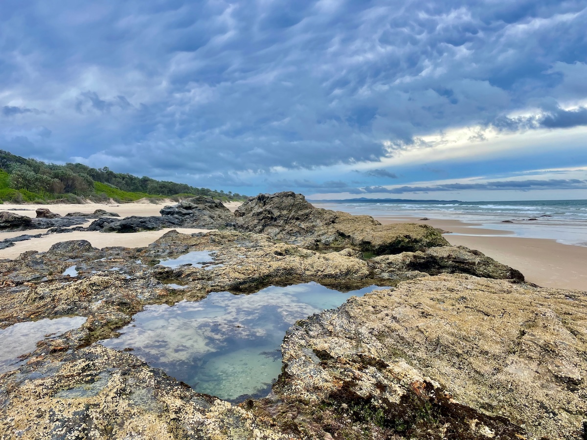 Thora Valley creek and rainforest