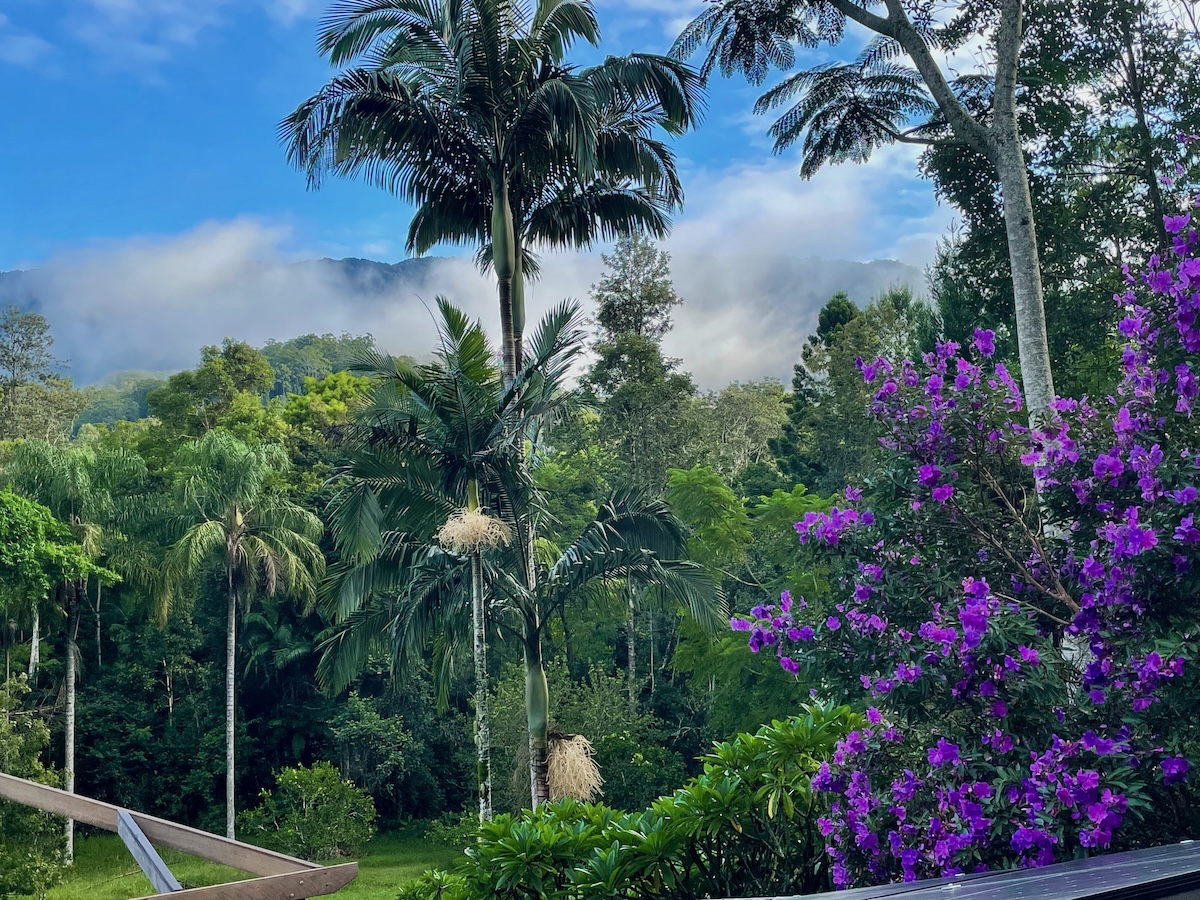 Thora Valley Rainforest