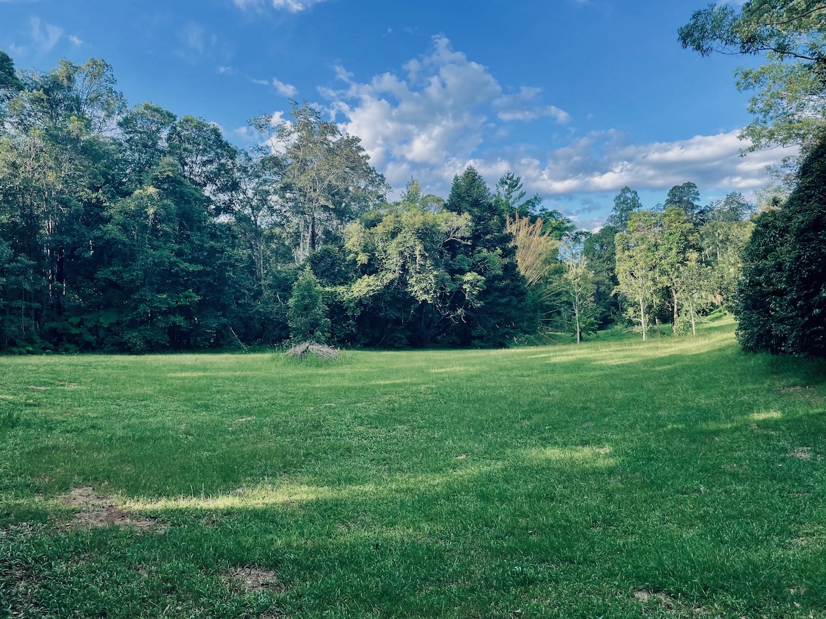 Native garden and surroundings