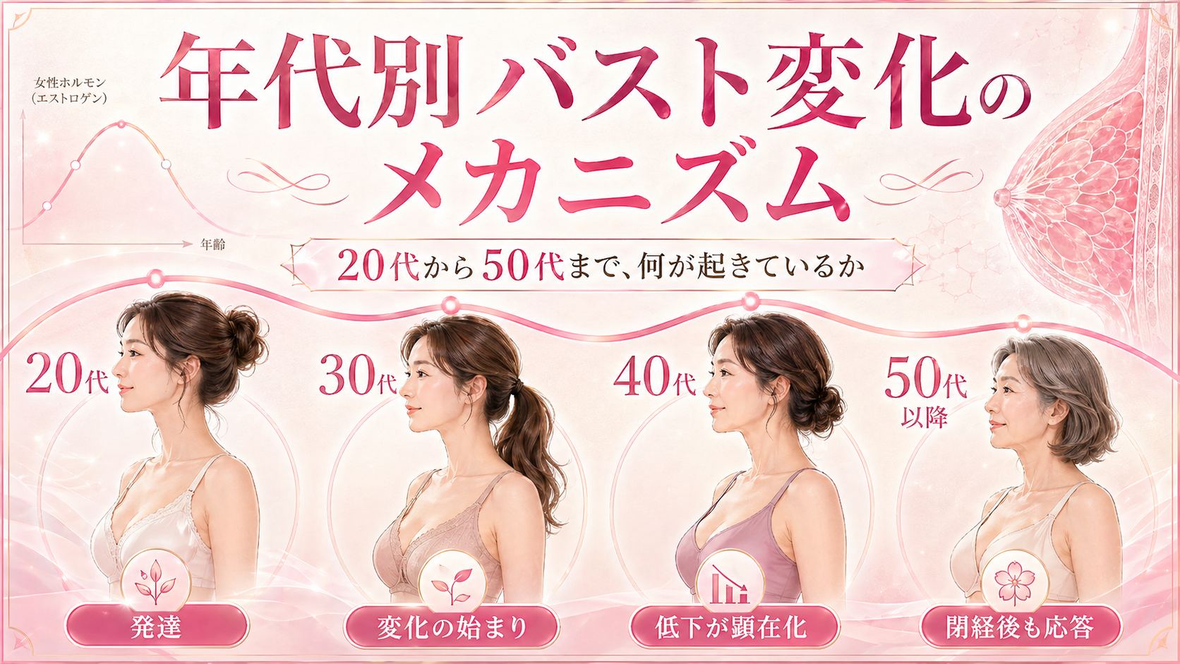 年代別バスト変化のメカニズム —— 20代・30代・40代・50代で何が起きているか