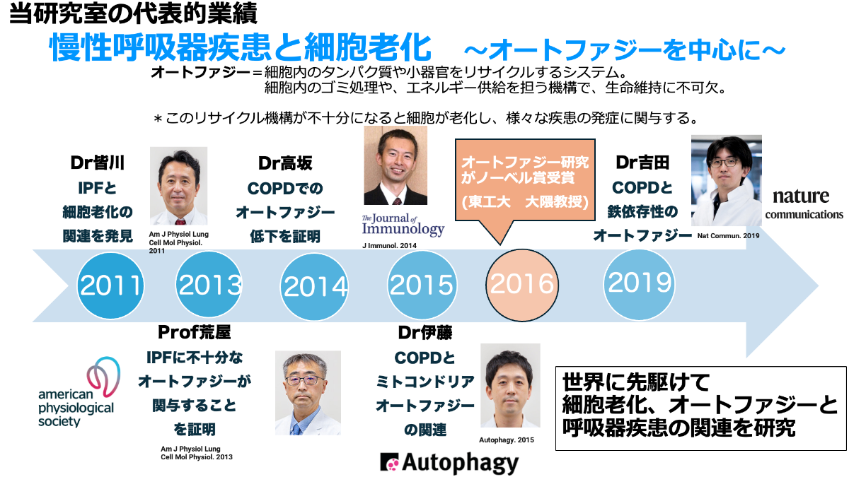IPFにおける細胞老化