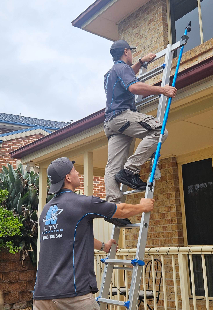 Professional cleaning service