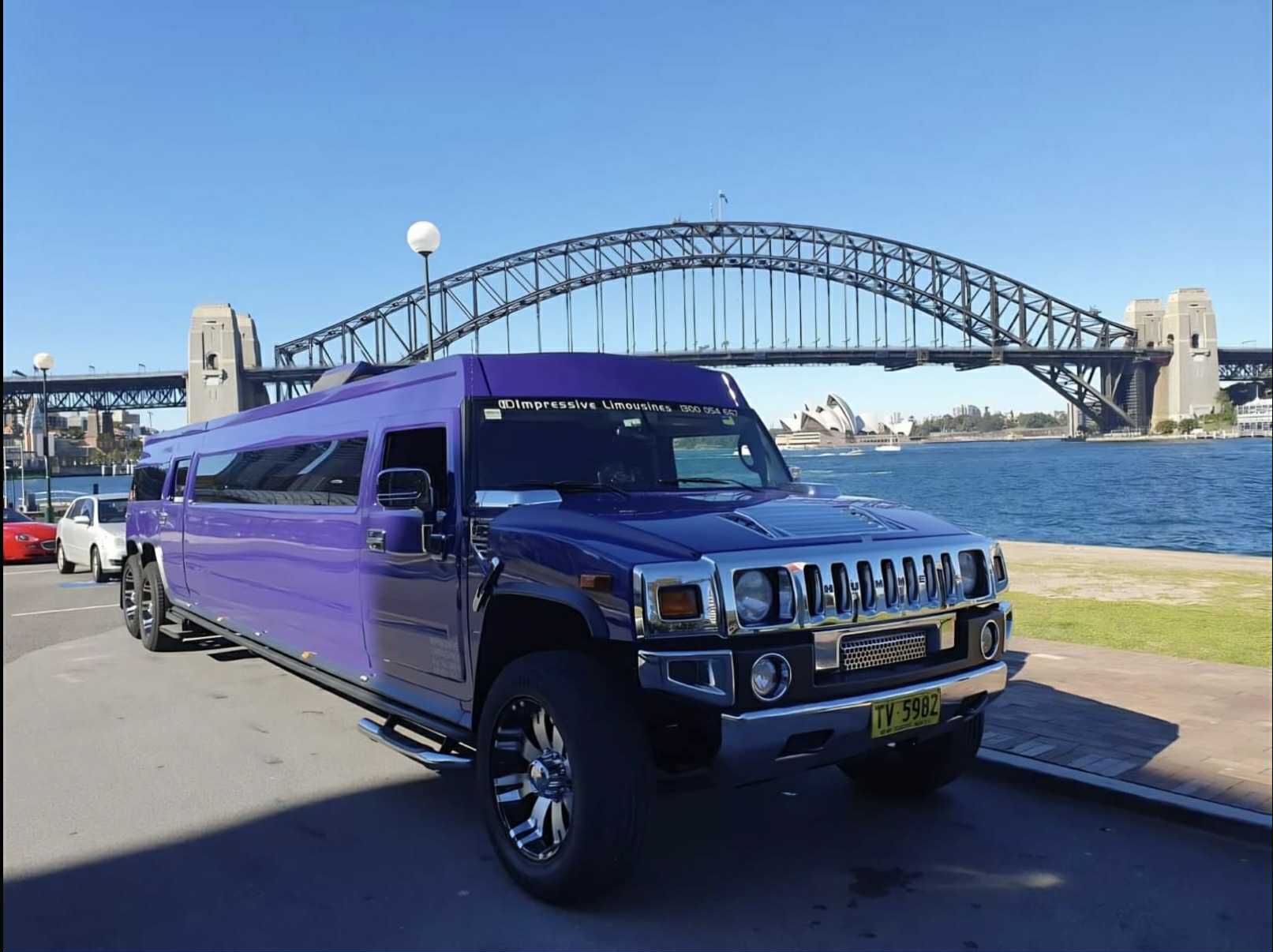 Purple Stretch Hummer