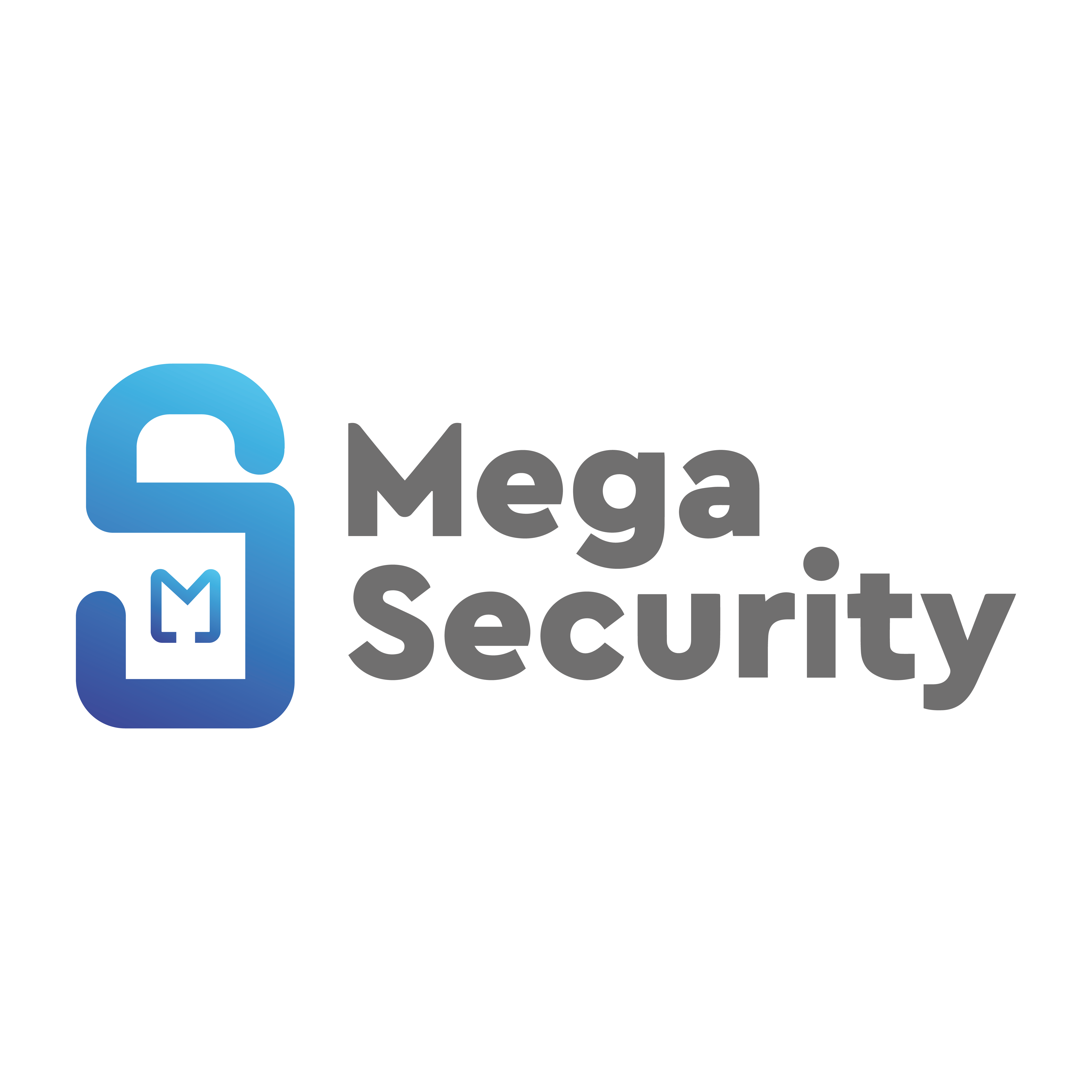 Equipo Megasecurity