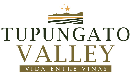 Barrio Tupungato Valley