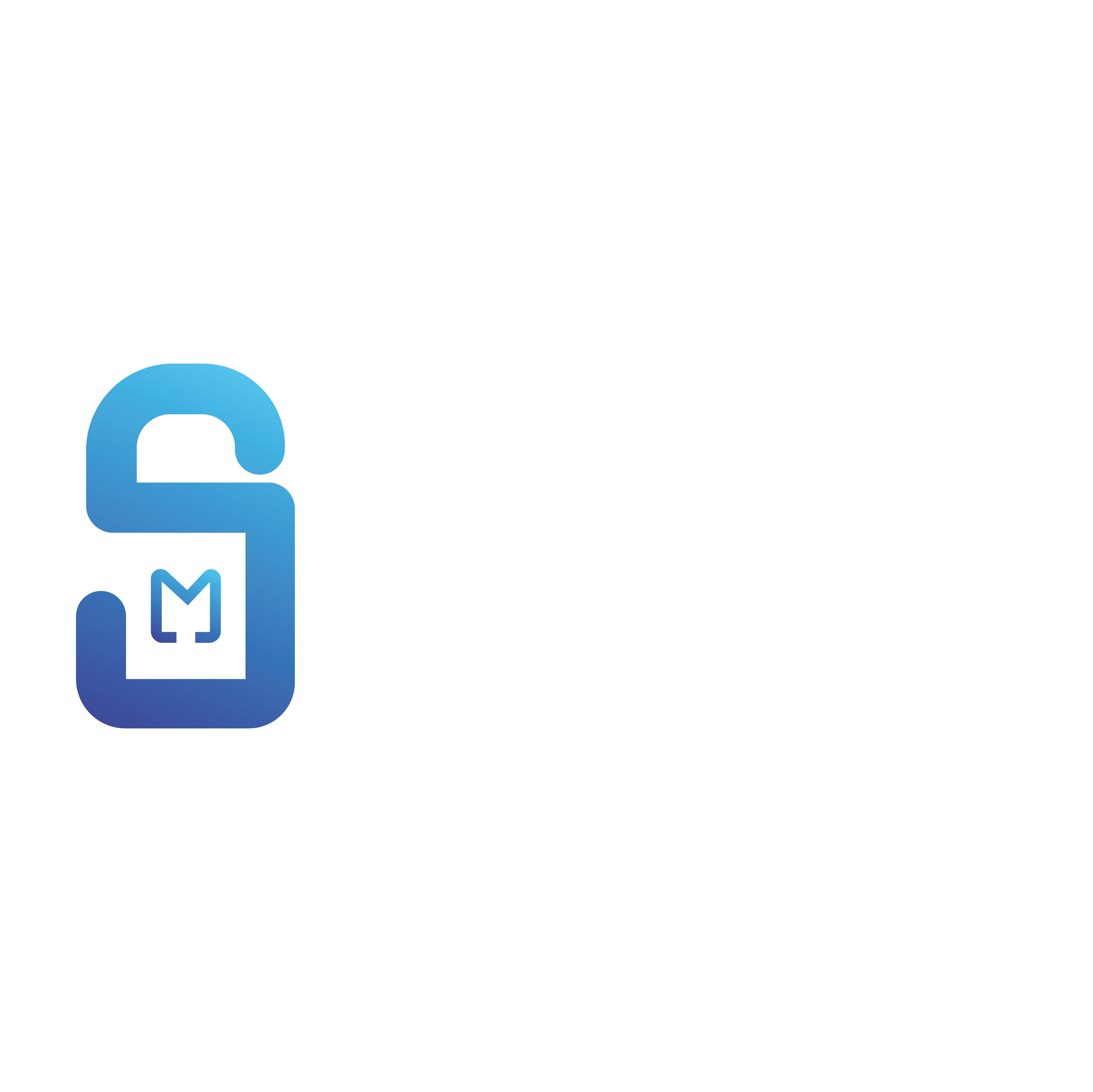 Megasecurity