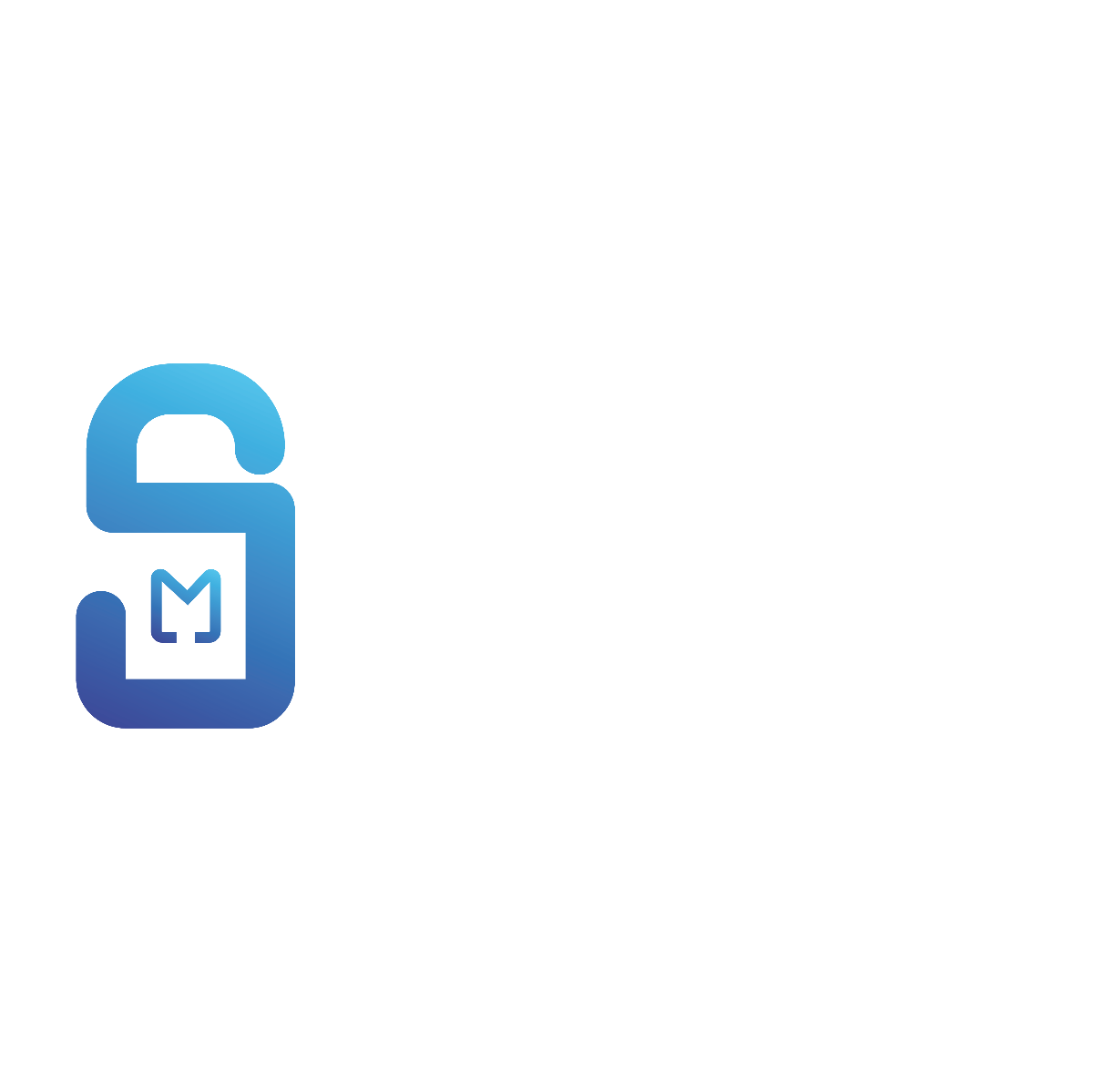 Megasecurity Logo
