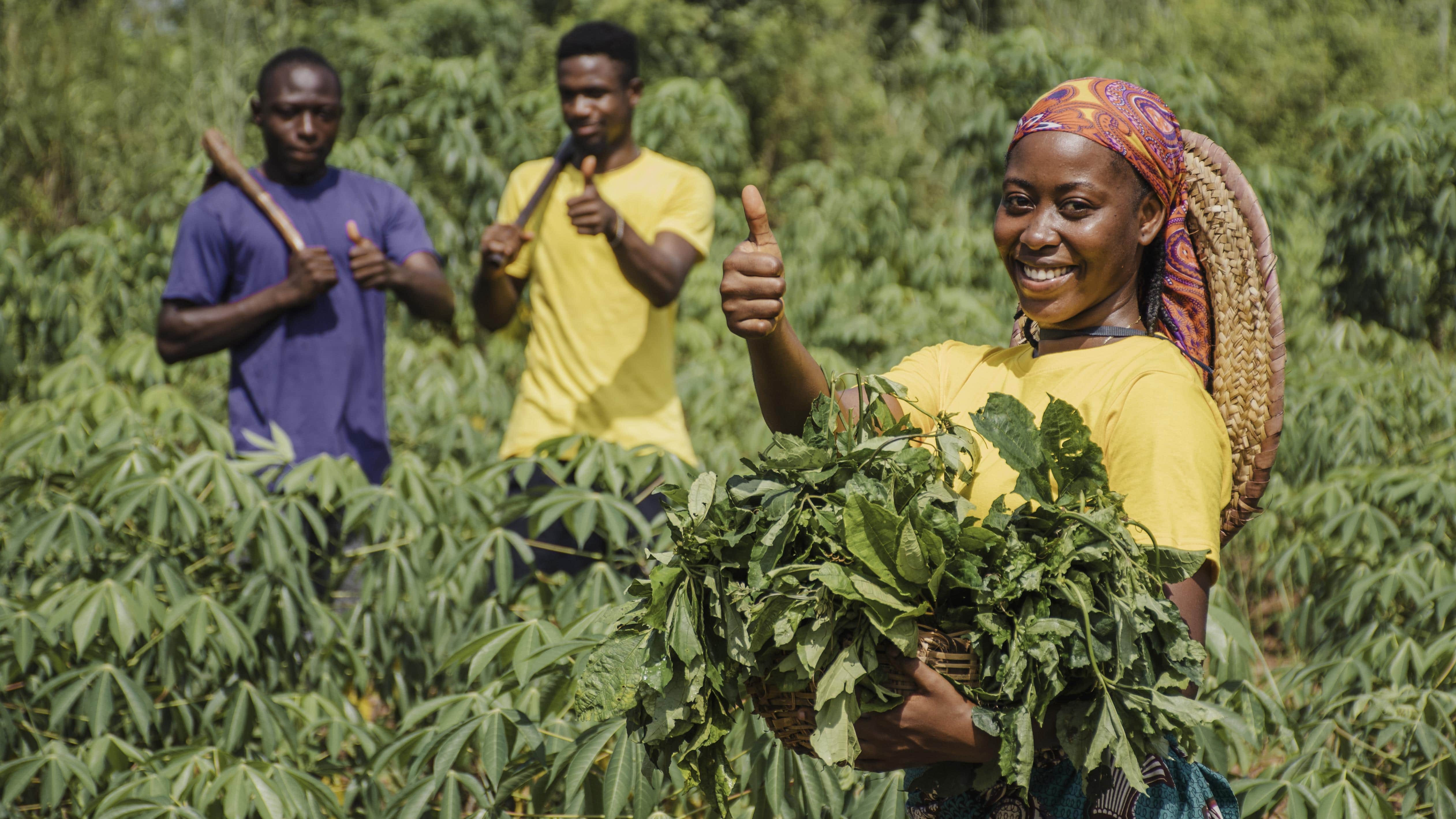 Agribusiness