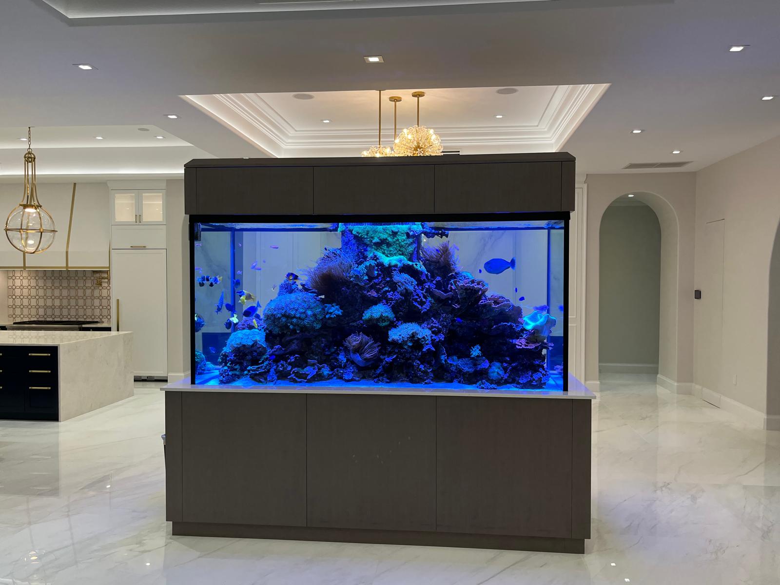 Laszlo Elliott marine aquarist at work