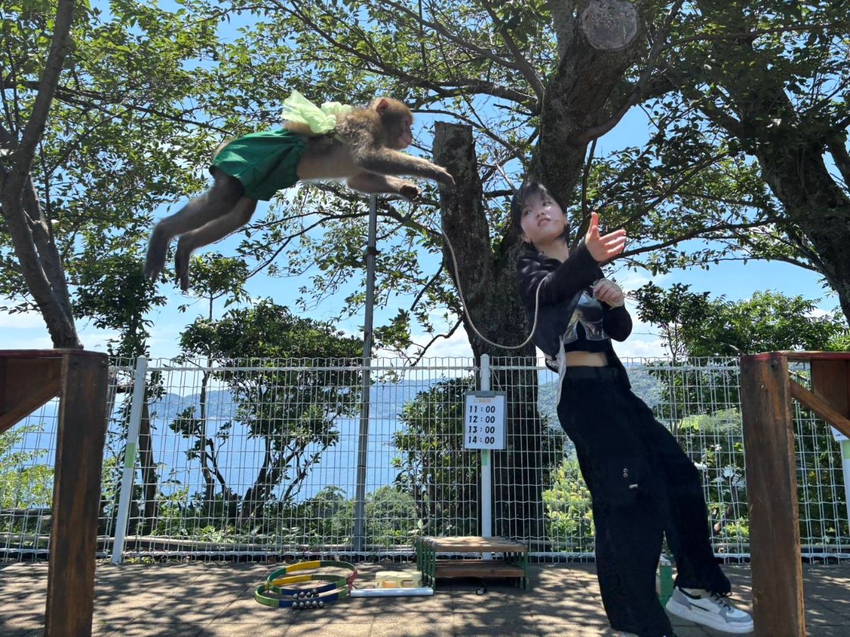 にこちゃんのジャンプ