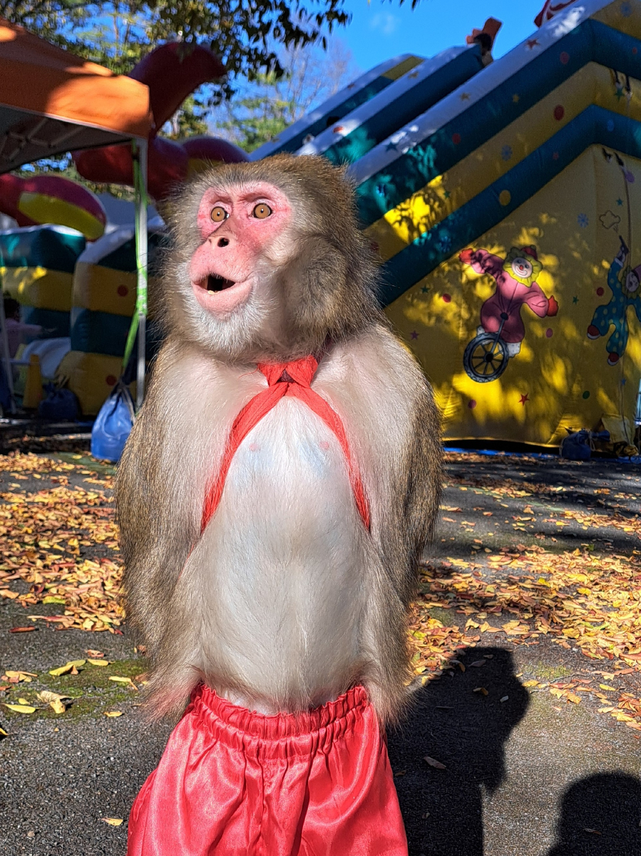 西秩父商工祭での様子