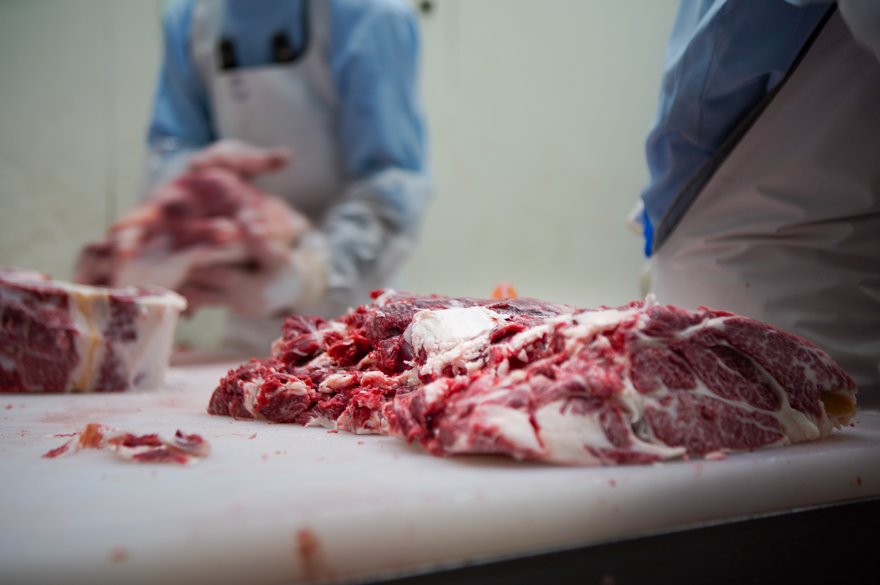 علامات شهادة الحلال