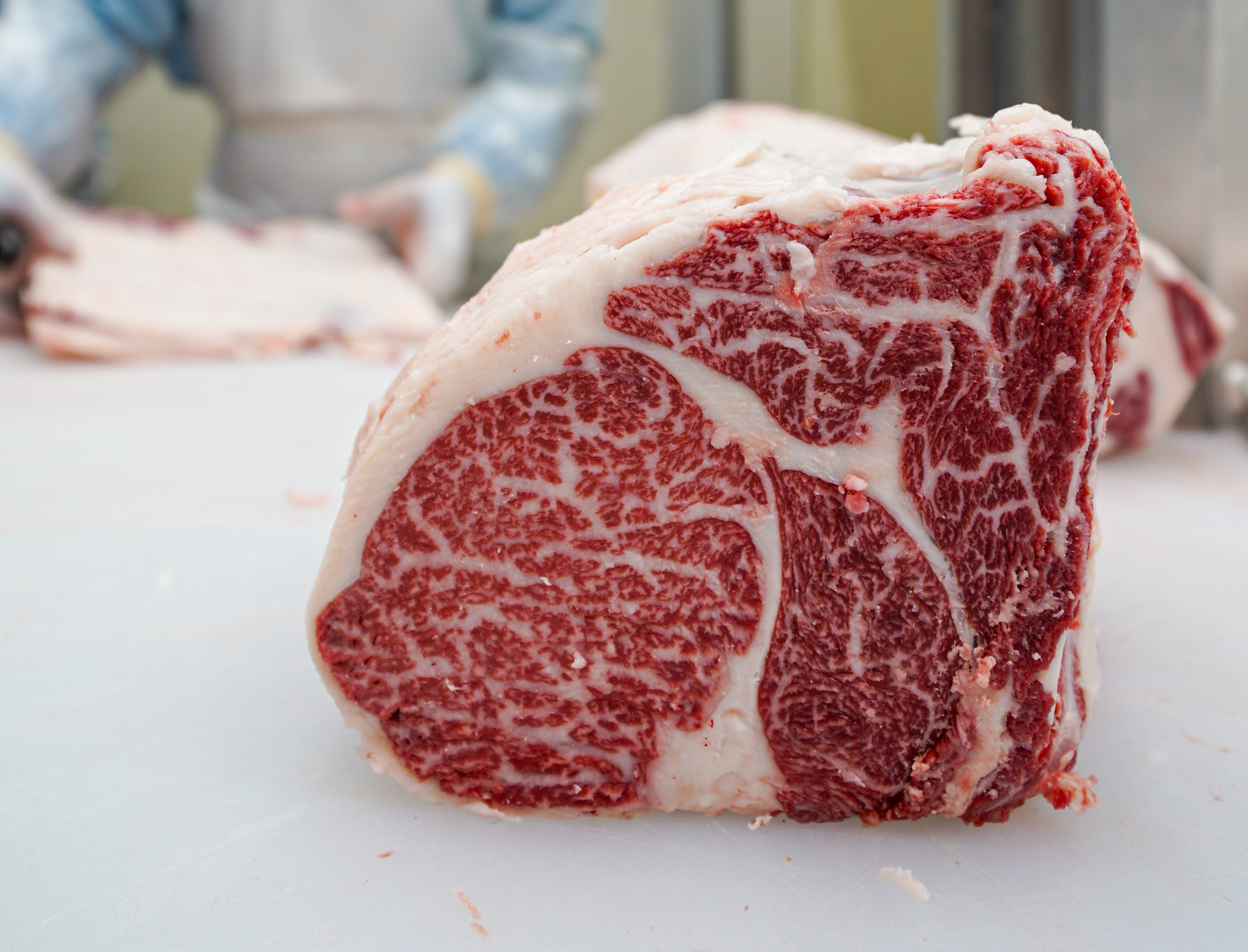 وثائق شهادة الحلال