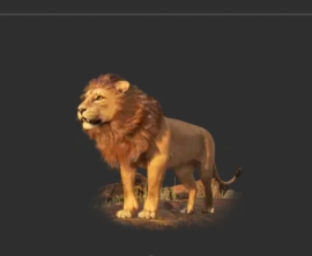 Most Creative Outfit