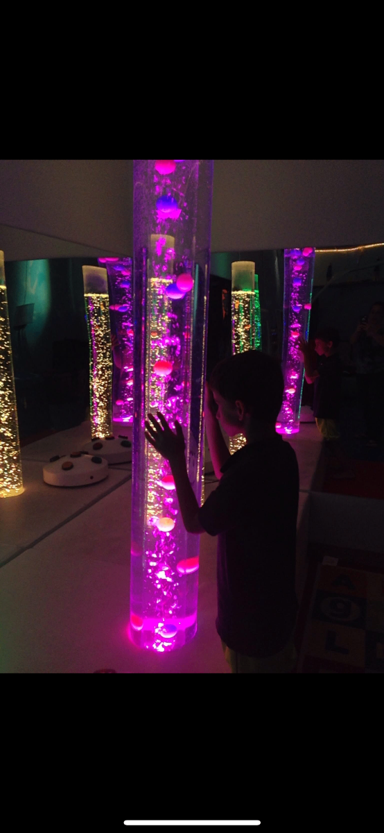 Multi-sensory learning environment 4 Therapeutic sensory environment with specialized equipment