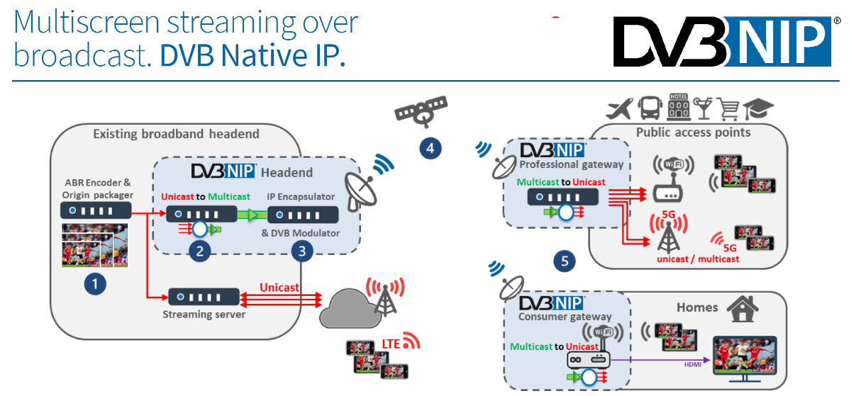 DVB-NIP Multiscreen Streaming Architecture