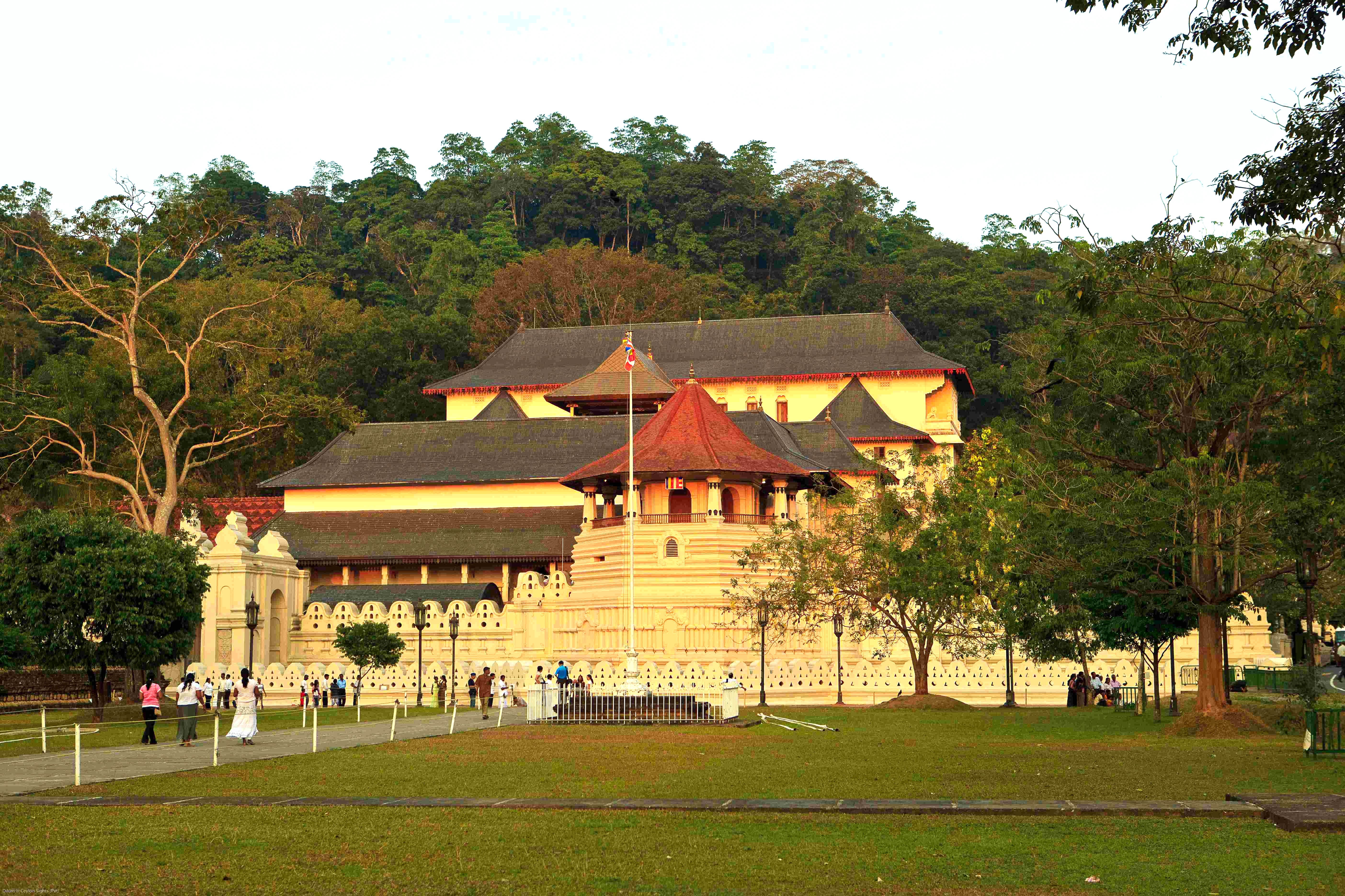 キャンディ キャンディ