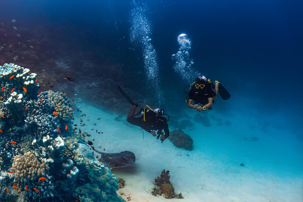 モルディブの海を守るためのやさしいルール