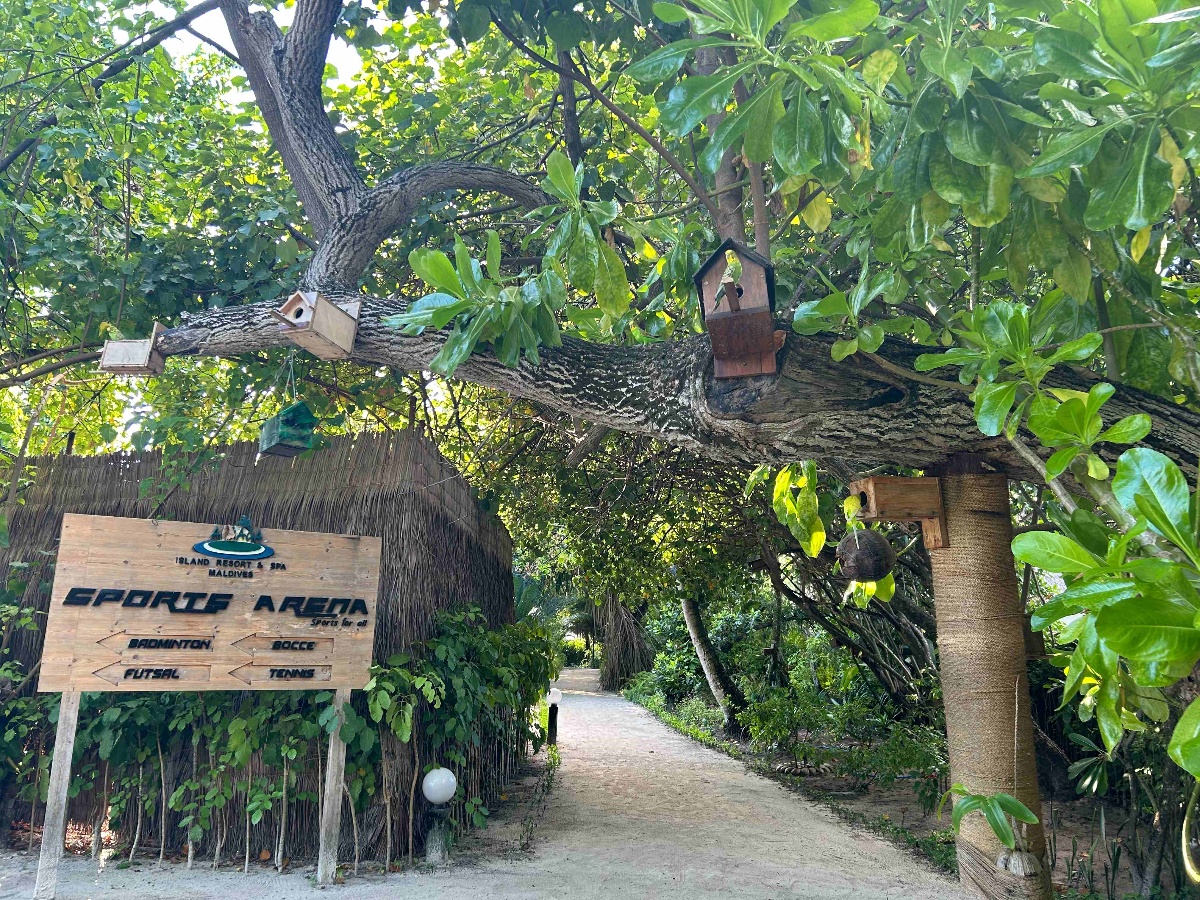 静けさの中に小鳥鳴き声。