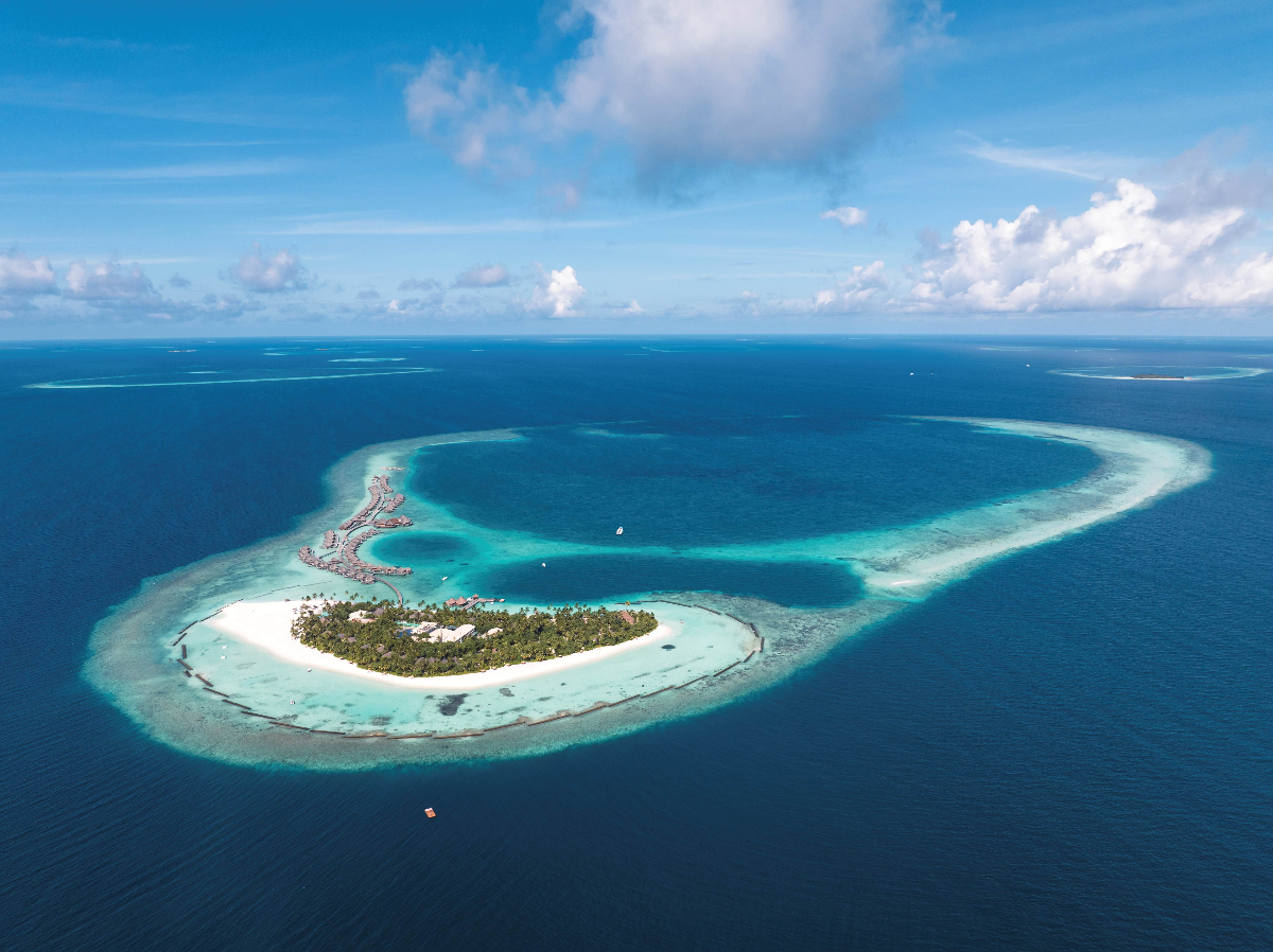 コンスタンス・ハラヴェリよりお得なキャンペーンのお知らせが届きました