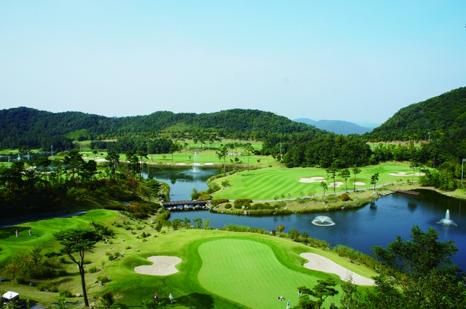 월별 결과 배경