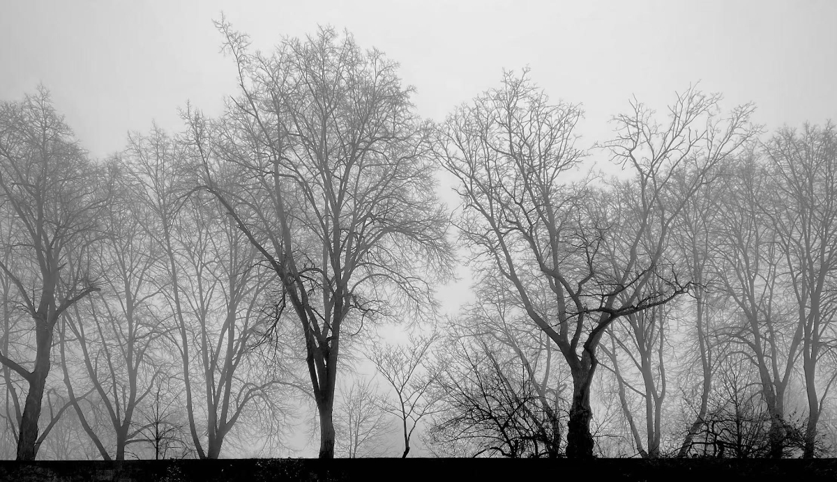 Fujifilm Photography - Photo 10