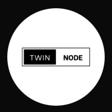 TwiNode Logo - Multi-Dimensional Spatiotemporal Risk Simulation Platform