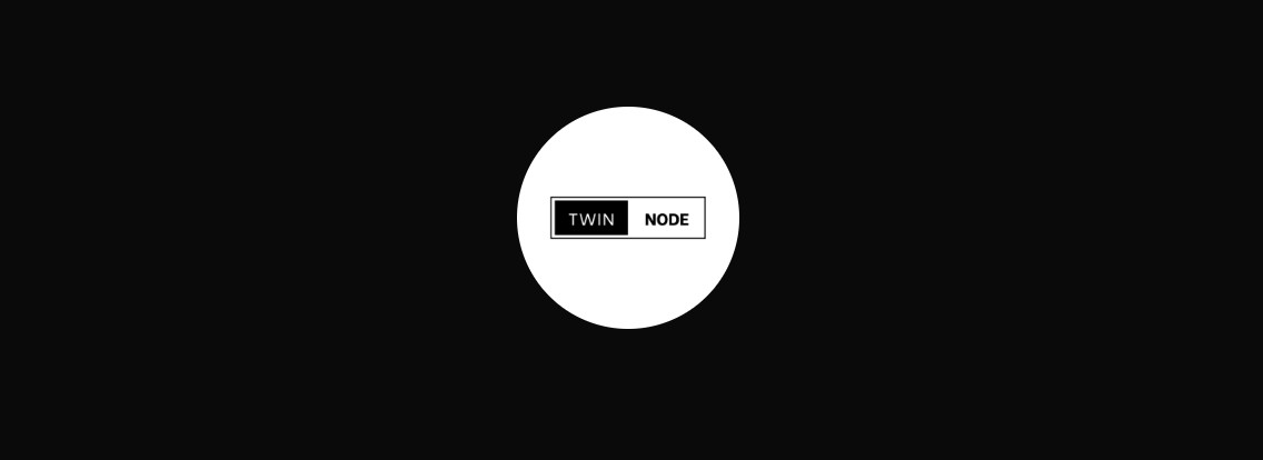 TwiNode Brand Logo
