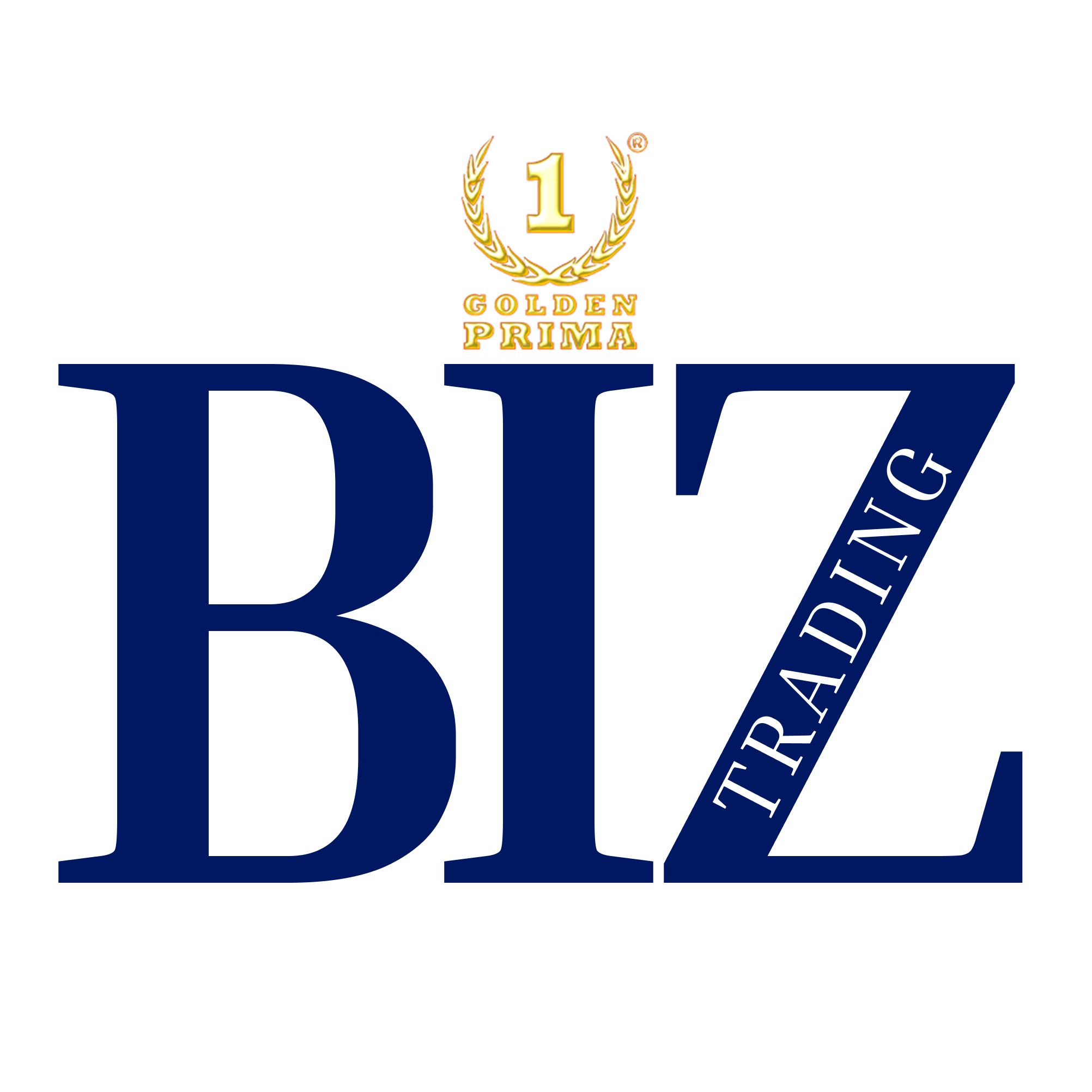 BIZ TRADING FZE