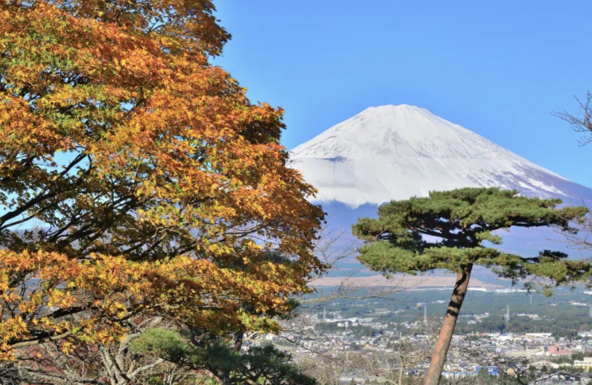 Mount Fuji