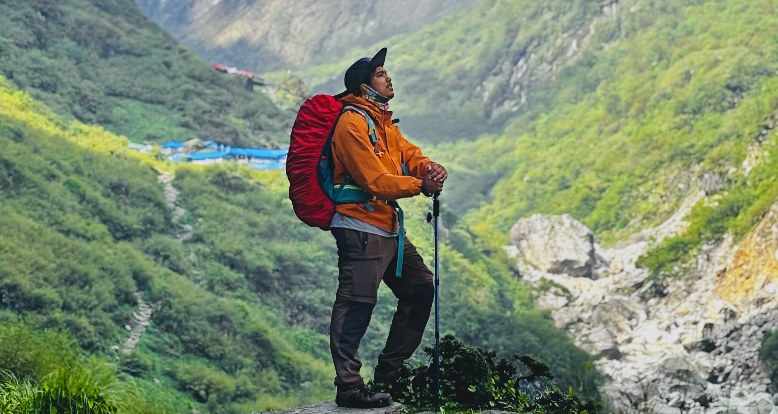 Digital Marketing Professional