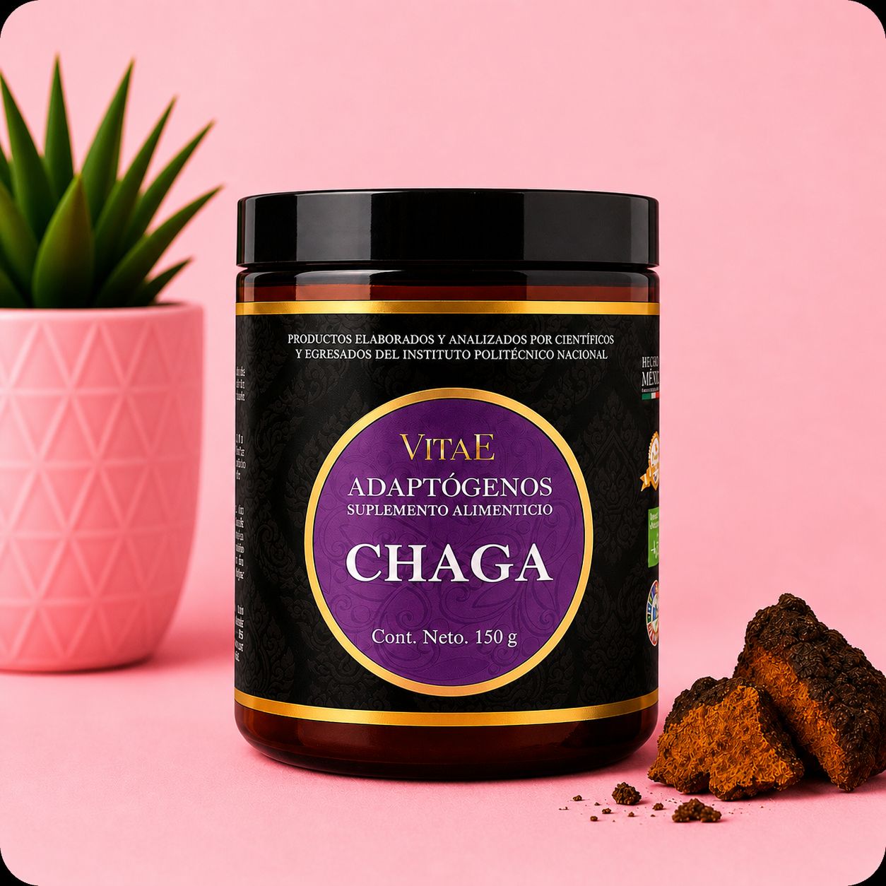 Vitae Chaga