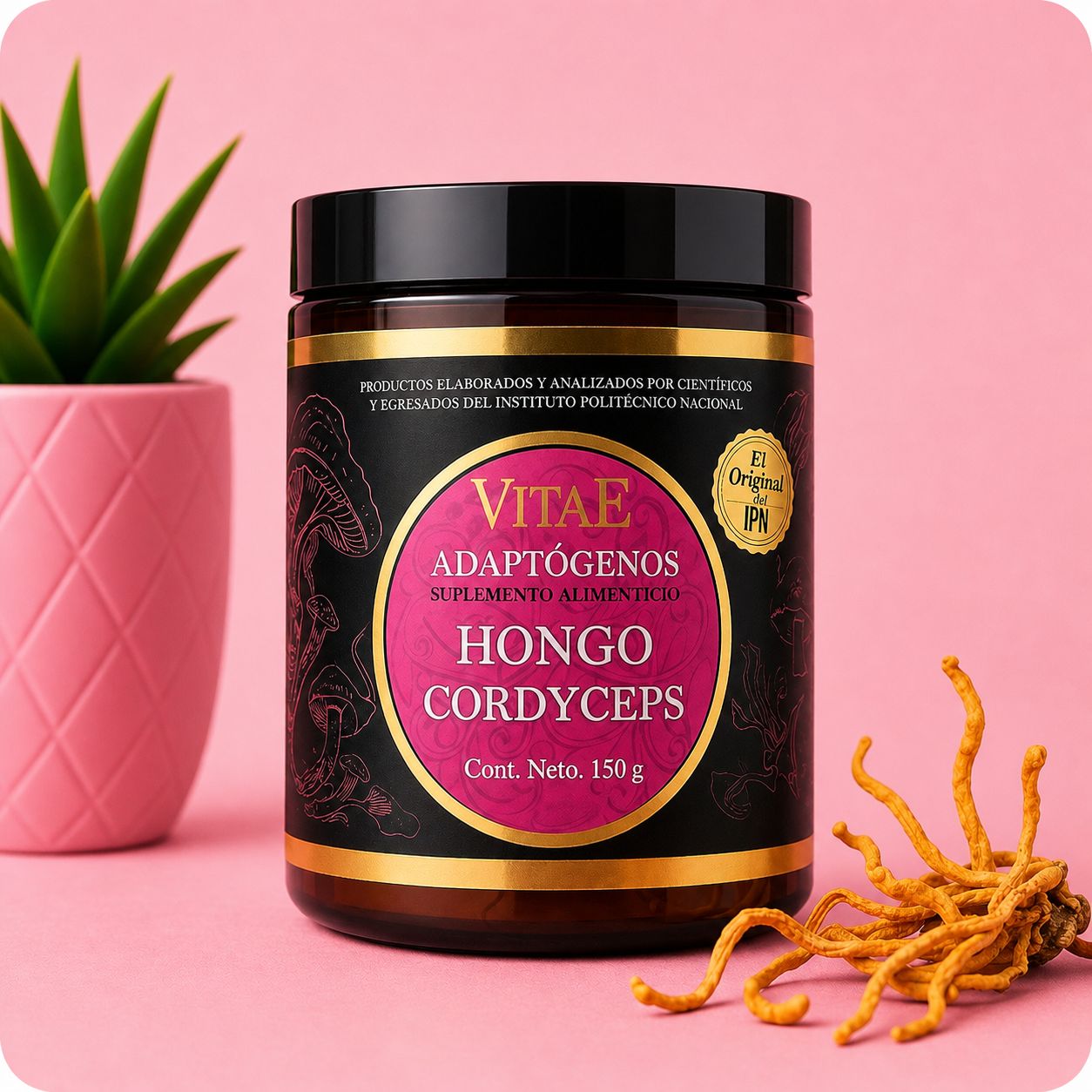 Vitae Cordyceps