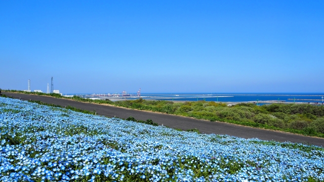 ひたちなか市の風景