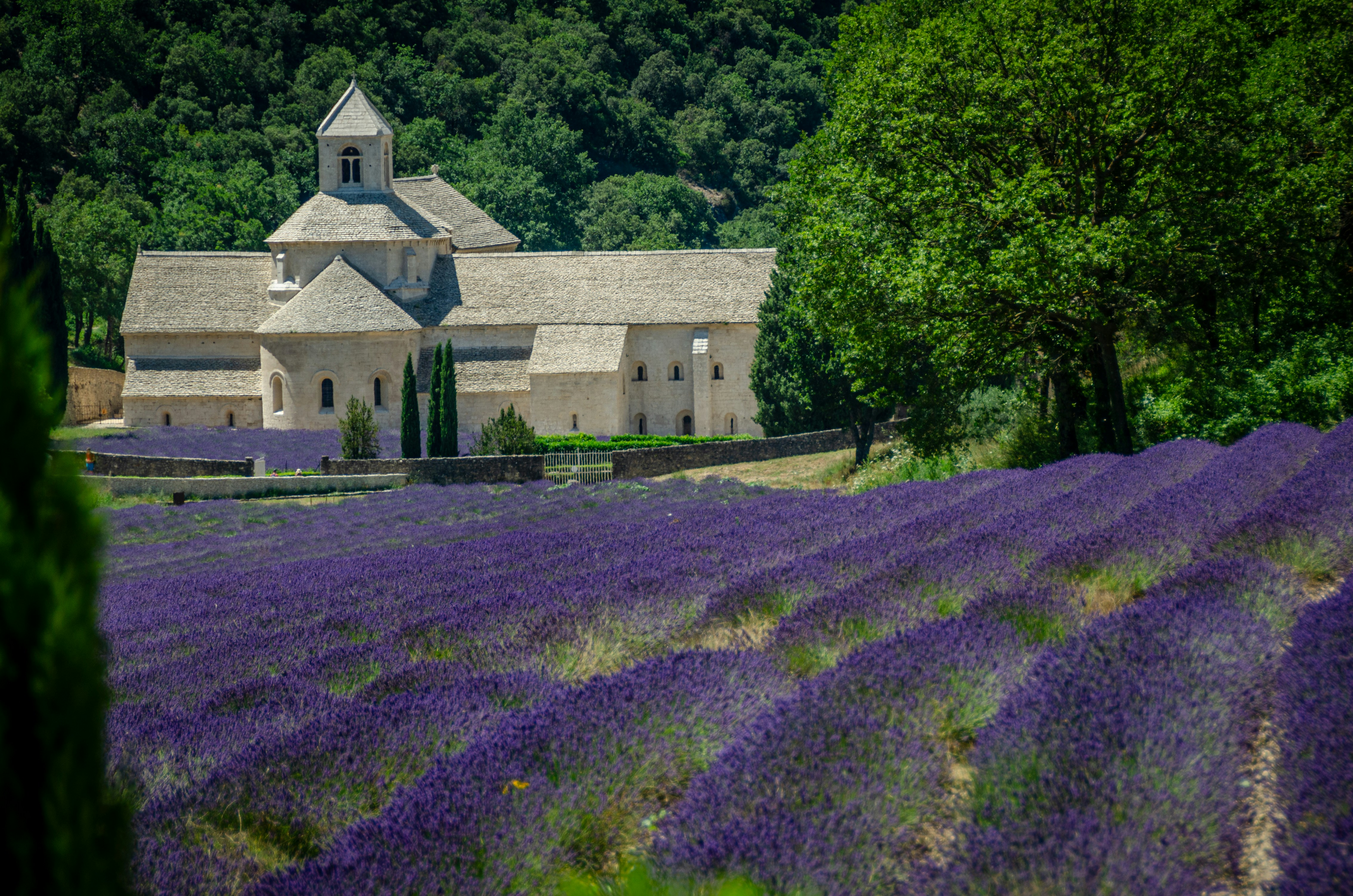 Paisagem deslumbrante da Provence e Riviera Francesa com campos de lavanda, vilarejos mediterrâneos e mar azul-turquesa