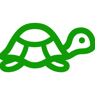 Mohéli Comores - Tortue Marine