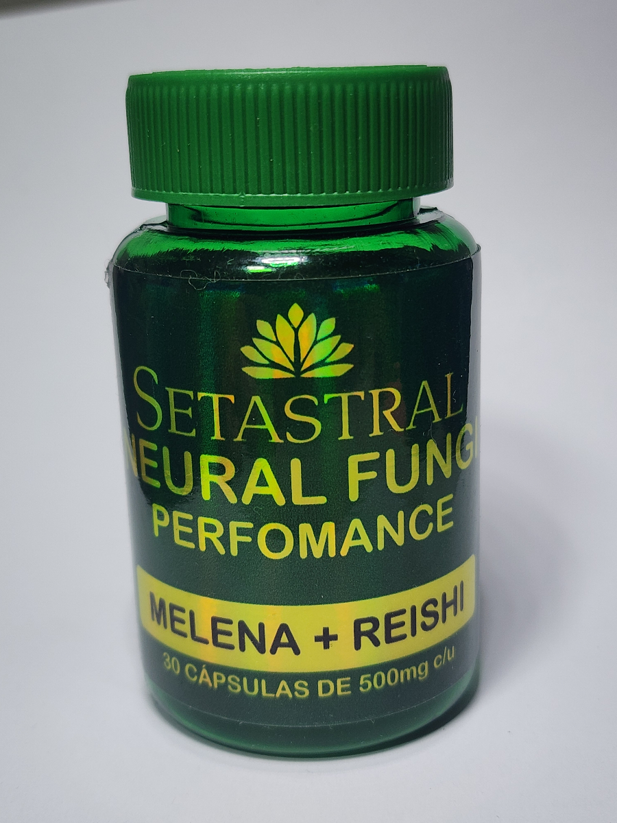 Neural Fungi Performance