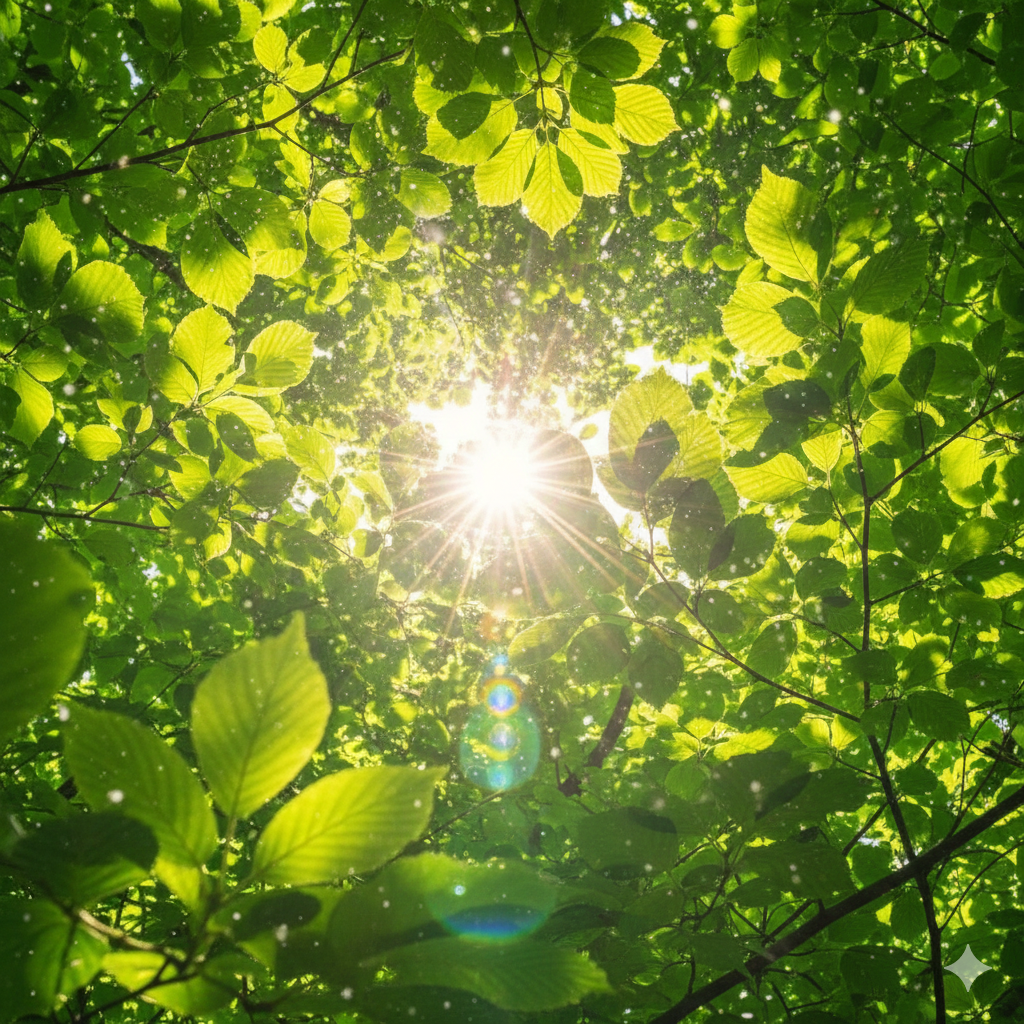 株式会社スムージースタジオ