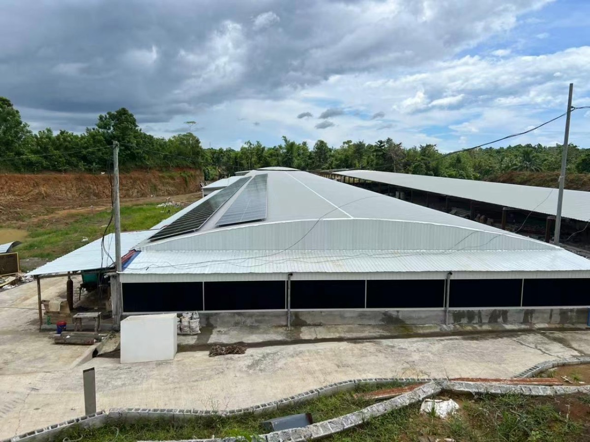 Aerial view — solar panels on poultry building rooftop