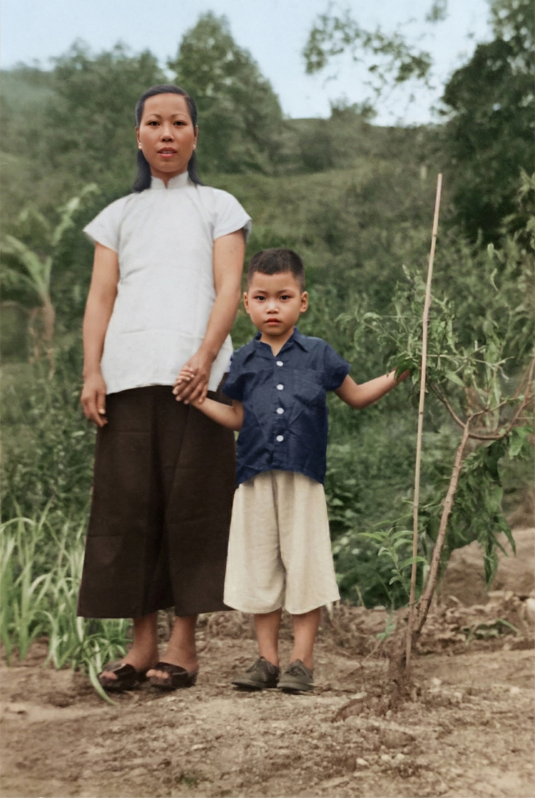 Cleanup and Recolor - After