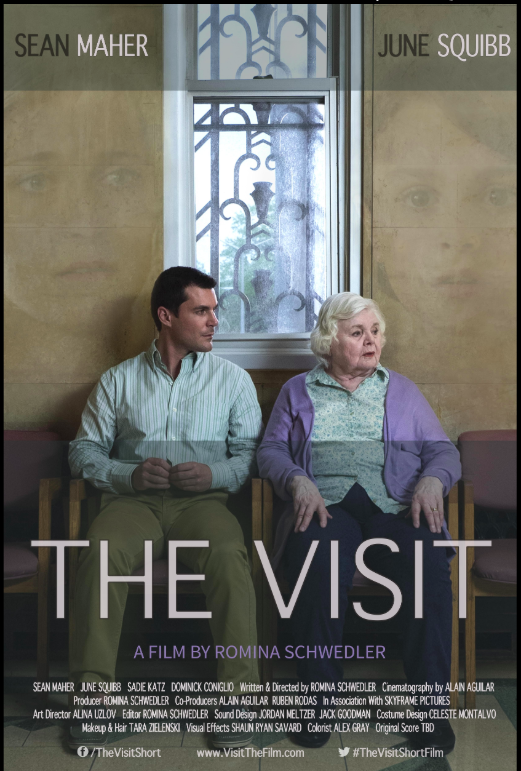 The Visit
