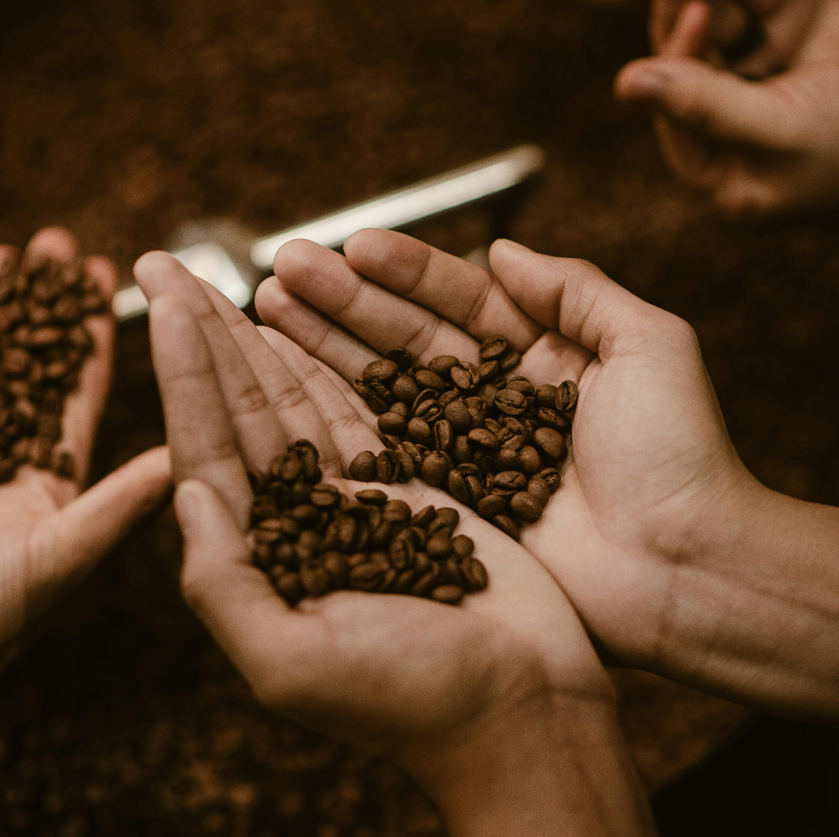 Coffee roaster at work