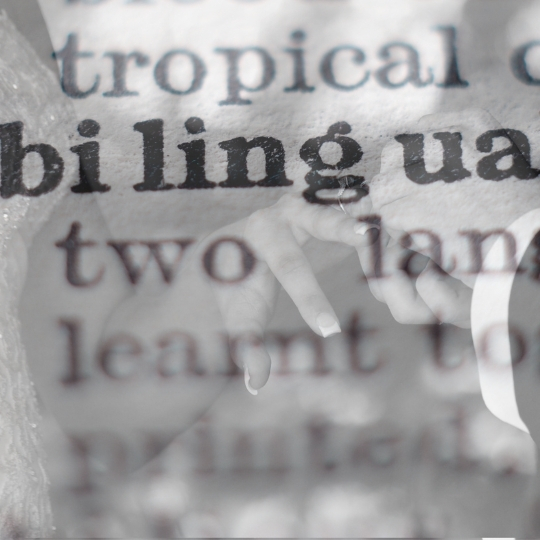 Cérémonie de mariage bilingue à Montréal | Guide complet