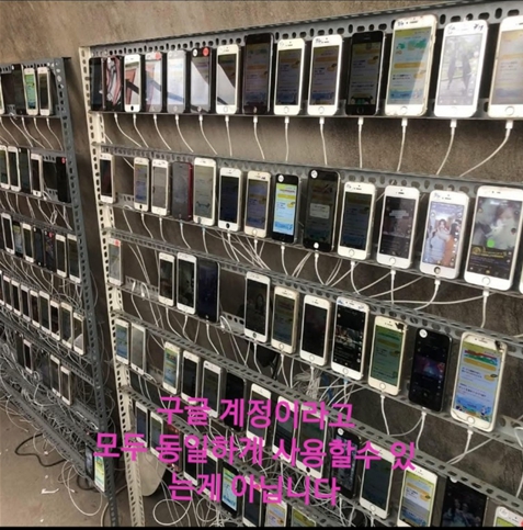 매일Panda 대규모 구글계정 생성 시스템 - 전문 인프라