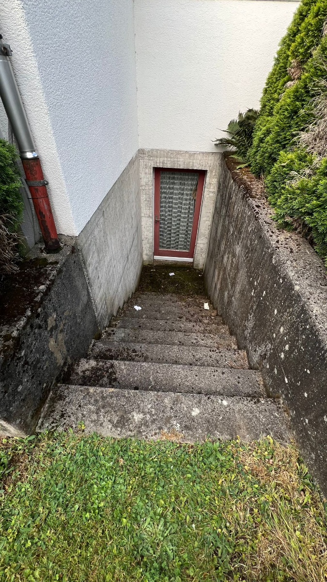 Professionelle Reinigung - Bild 3