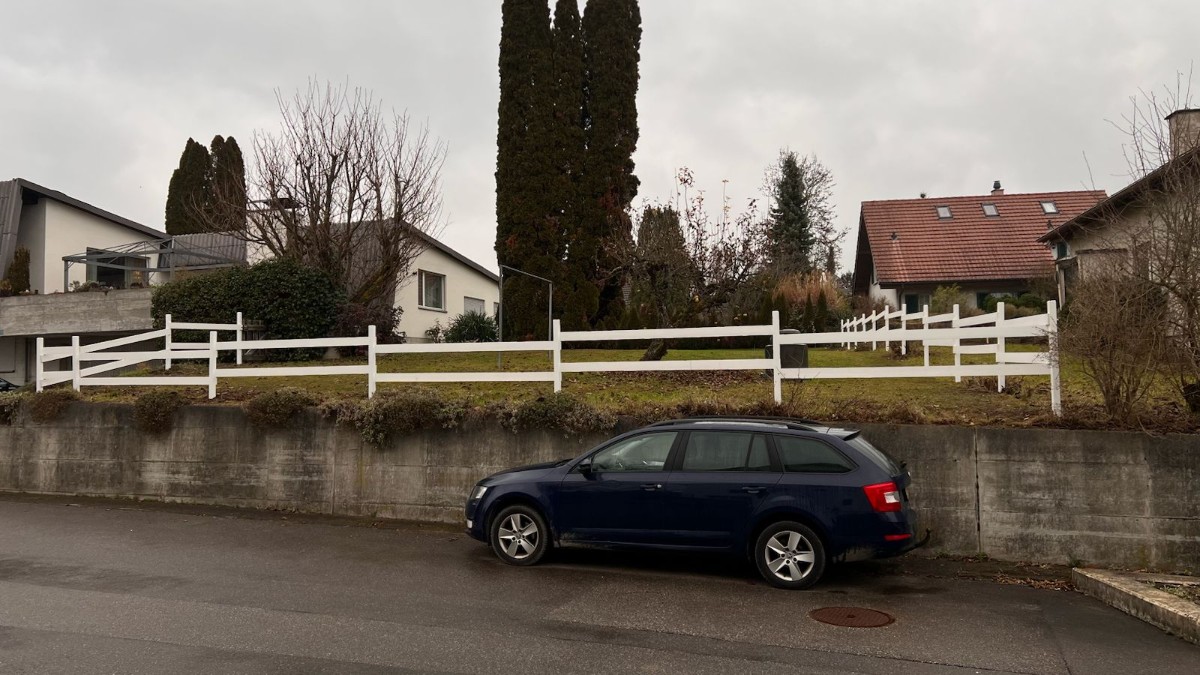 Gartenpflege - Bild 3