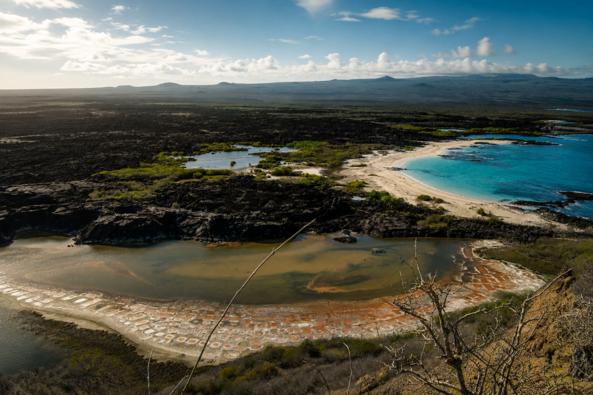 360 San Cristobal