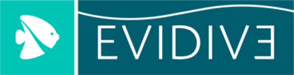 EVIDIVE Logo