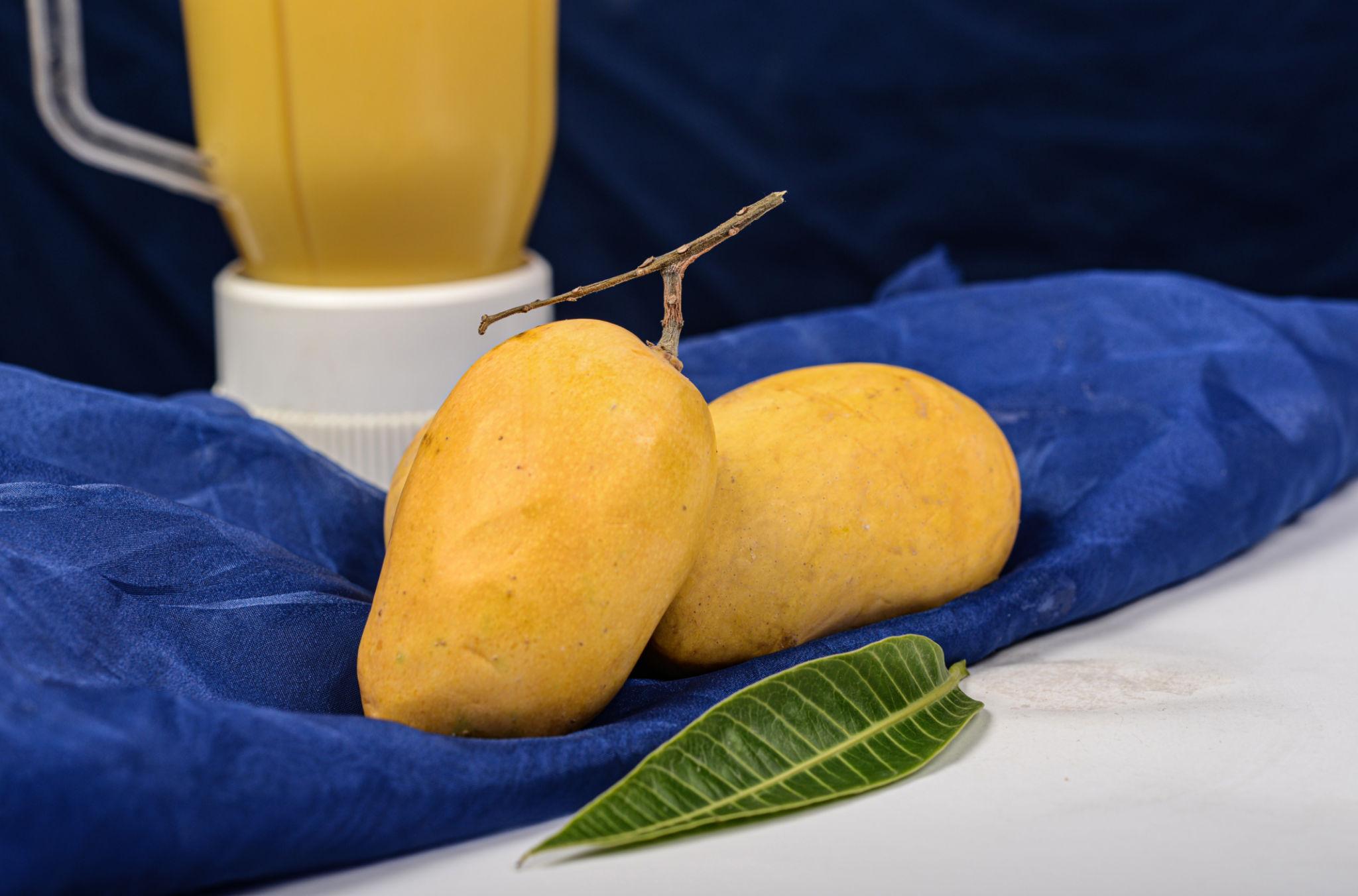 Chaunsa gallery image 4