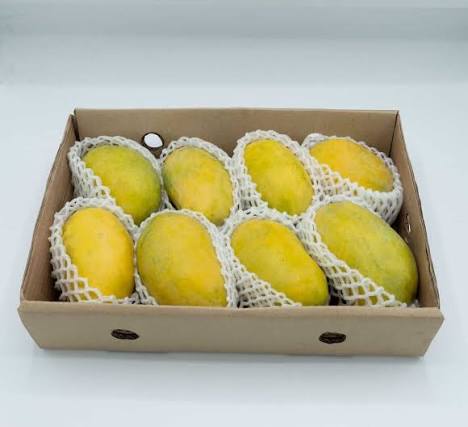 Dussehri gallery image 4